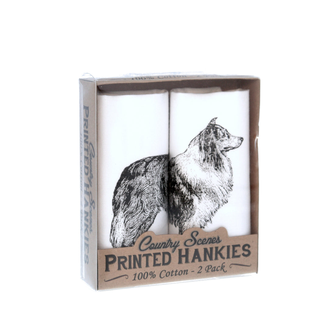 Men’s 100% Cotton Collie Dog Print Handkerchief / Hanky