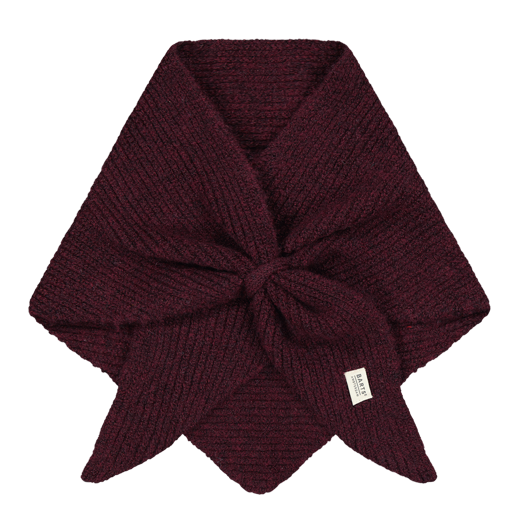 Barts Neolana Loop Scarf in Aubergine