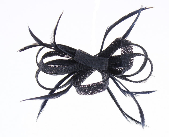 Barbara Sinamay & Feather Slide Fascinator, from Elegance Boardmans
